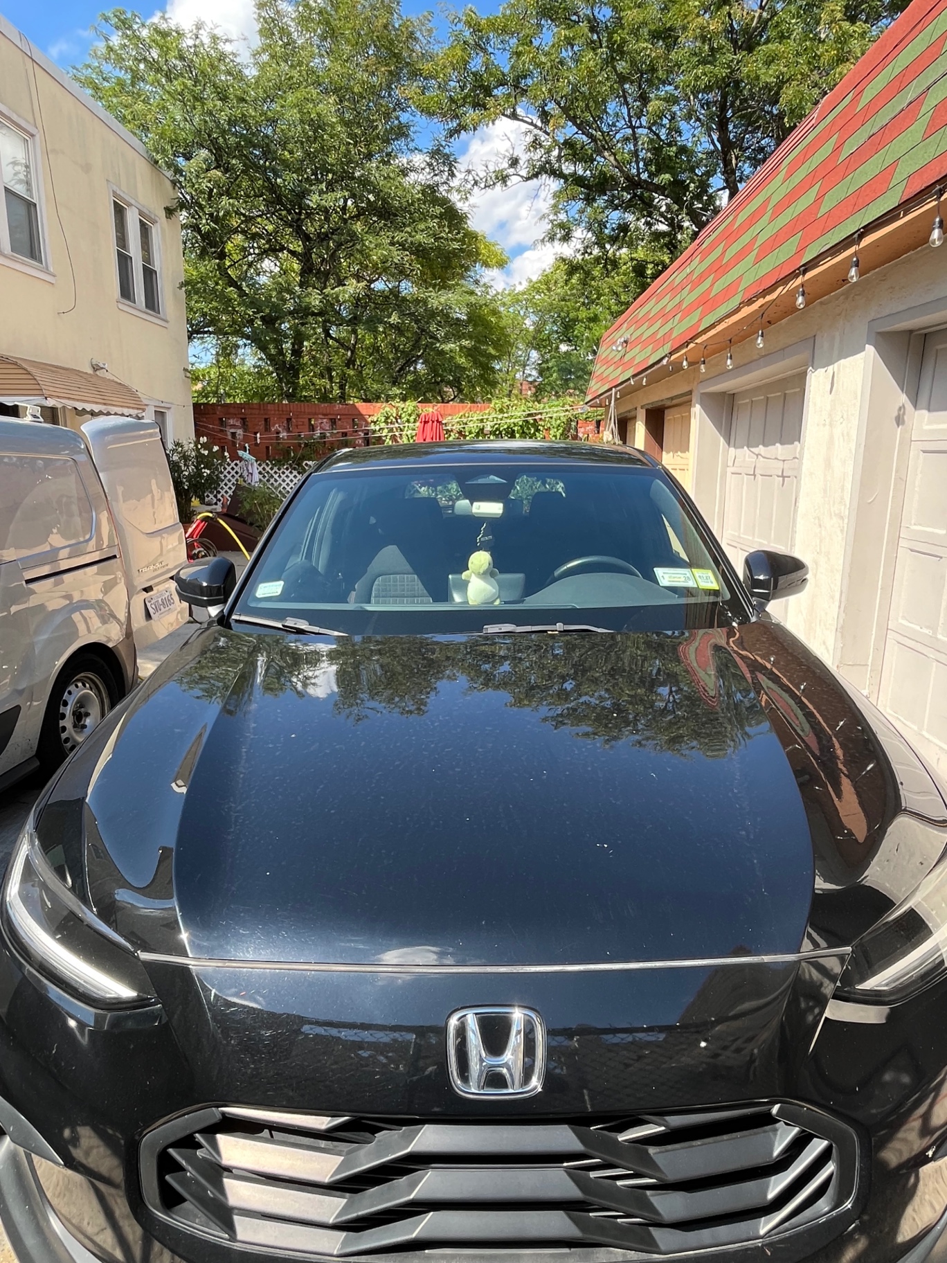 Hood wash & gloss — before