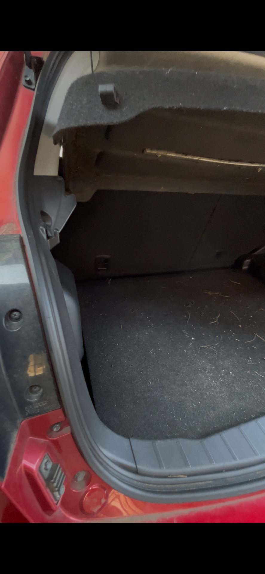 Trunk & cargo area — before