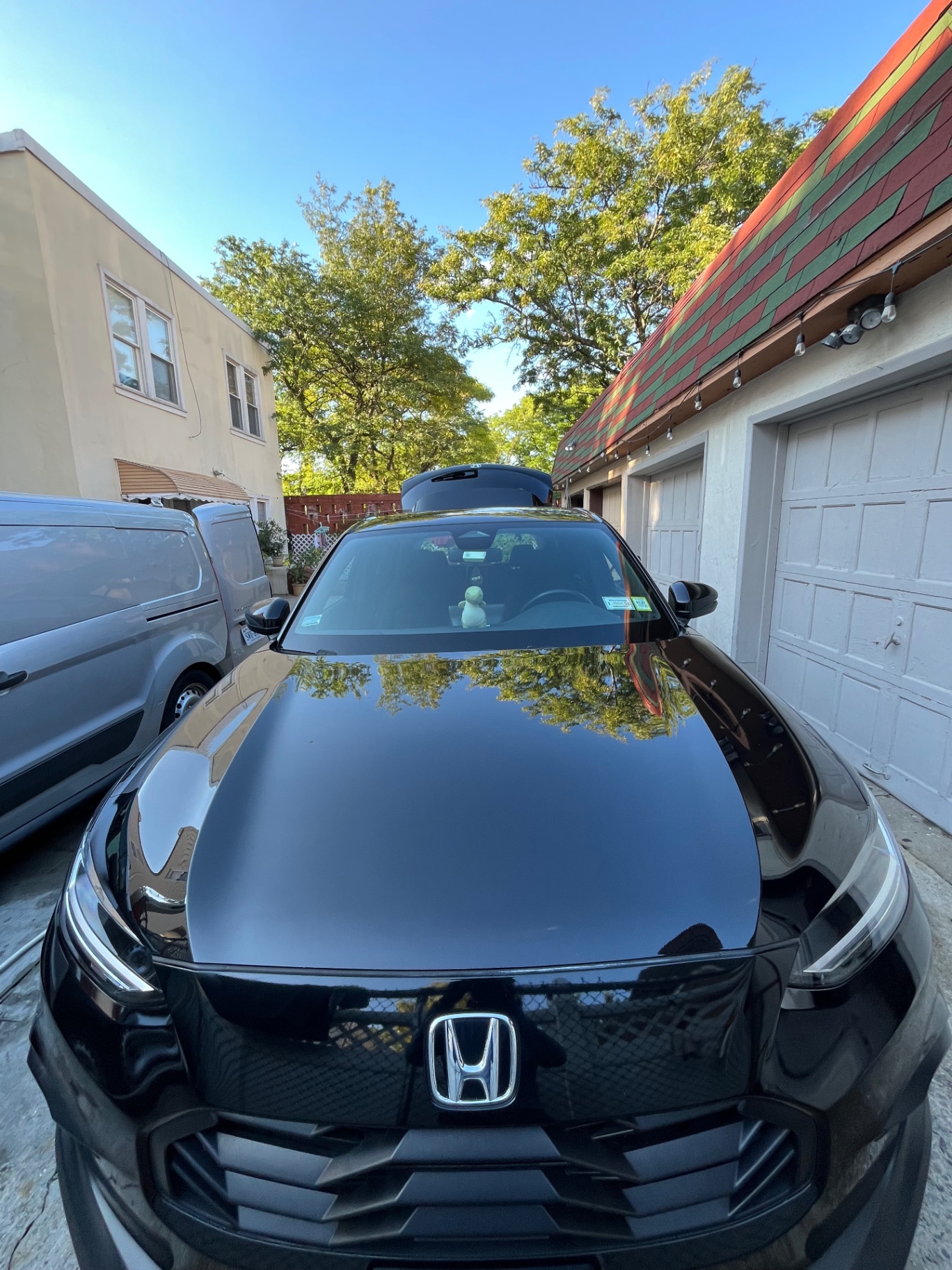 Hood wash & gloss — after